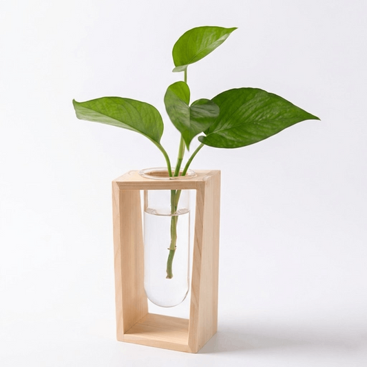 Modern Minimalist Hydroponic Glass and Wood Ornament