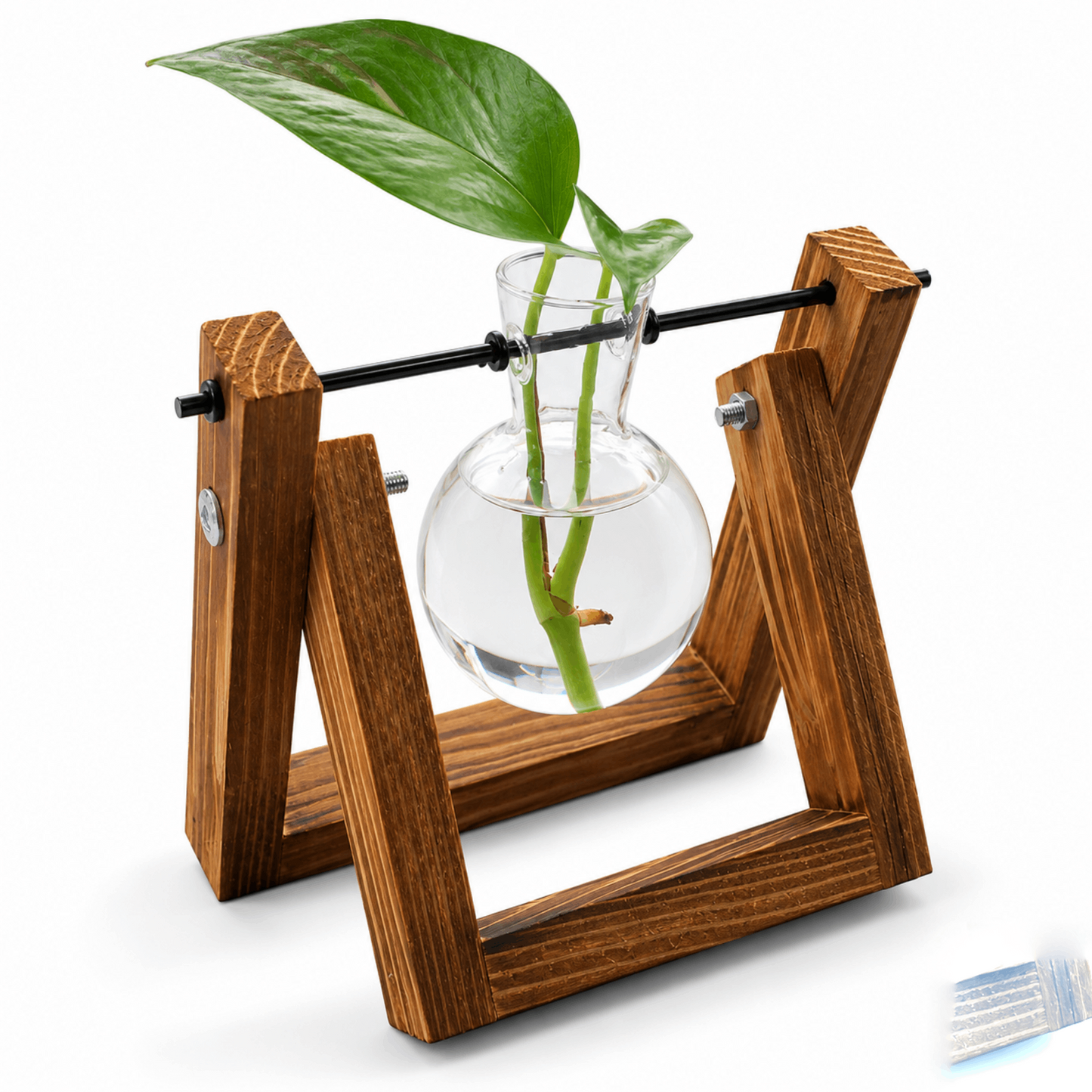 Modern Minimalist Hydroponic Glass and Vintage Wooden Stand